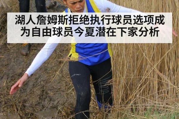 湖人詹姆斯拒绝执行球员选项成为自由球员今夏潜在下家分析